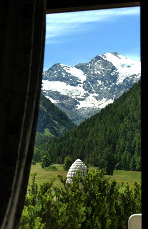 La Terrazza Apartment Cogne Bagian luar foto